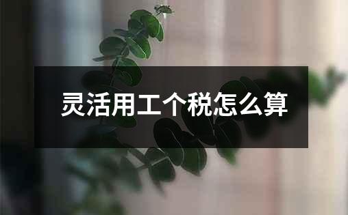 灵活用工个税怎么算