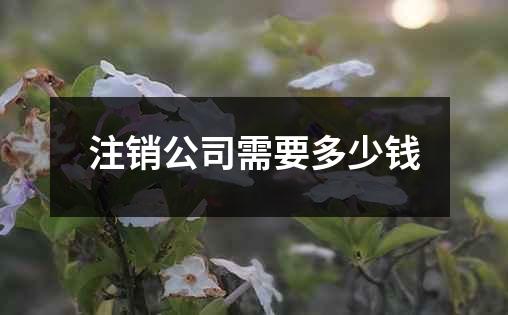 注销公司需要多少钱