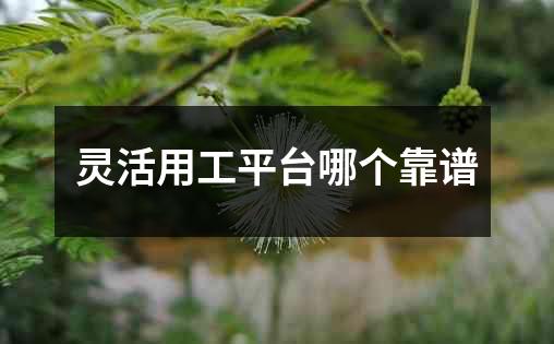 灵活用工平台哪个靠谱