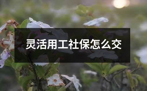 灵活用工社保怎么交