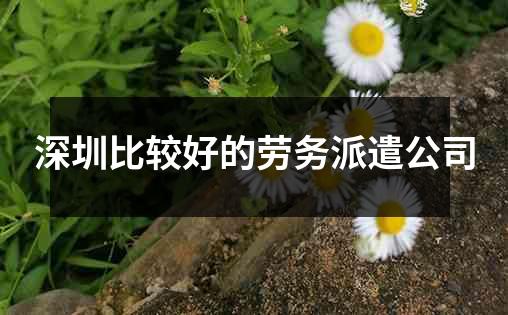 深圳比较好的劳务派遣公司