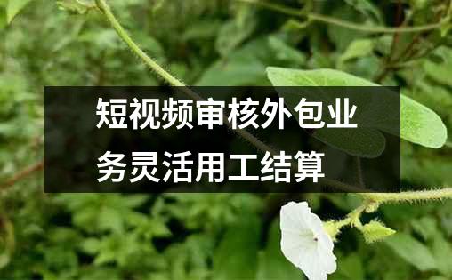 短视频审核外包业务灵活用工结算