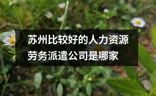 苏州比较好的人力资源劳务派遣公司是哪家