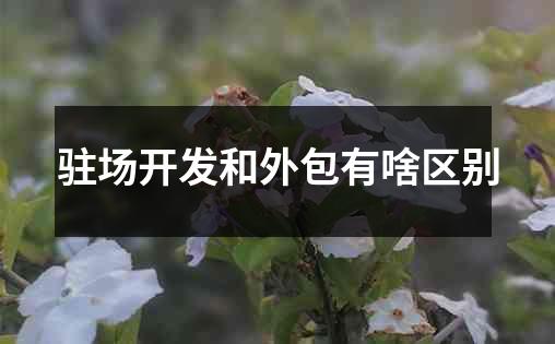 驻场开发和外包有啥区别