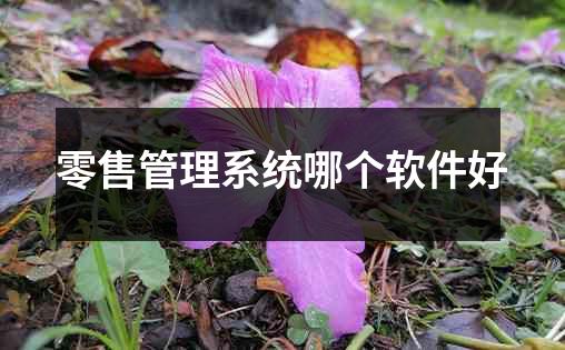 零售管理系统哪个软件好