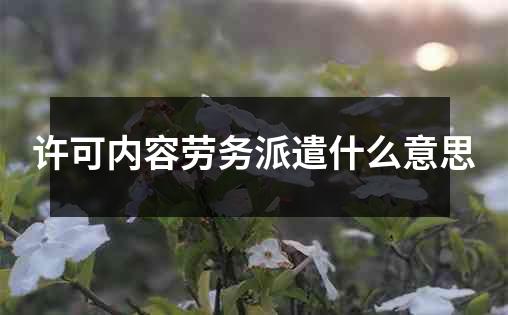 许可内容劳务派遣什么意思