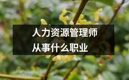 人力资源管理师从事什么职业