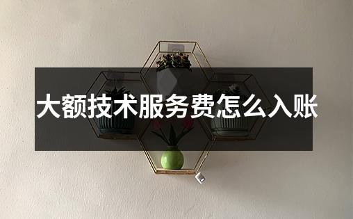 大额技术服务费怎么入账