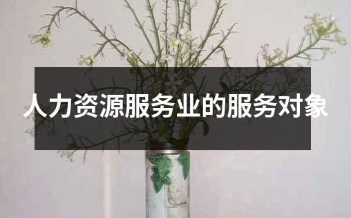 人力资源服务业的服务对象