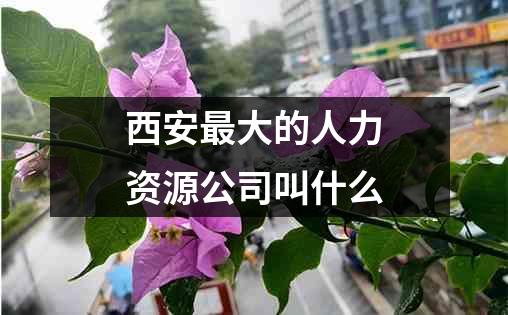 西安最大的人力资源公司叫什么