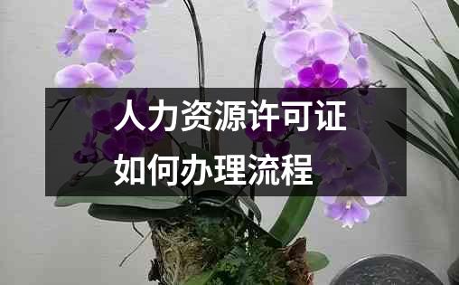 人力资源许可证如何办理流程