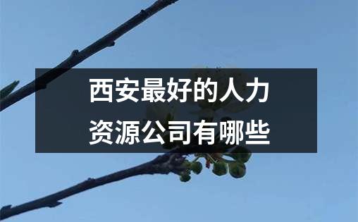 西安最好的人力资源公司有哪些