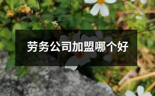 劳务公司加盟哪个好