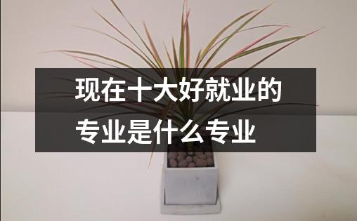 现在十大好就业的专业是什么专业