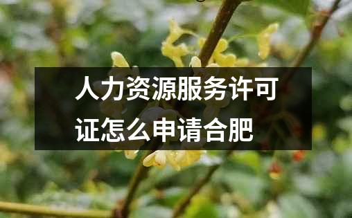 人力资源服务许可证怎么申请合肥