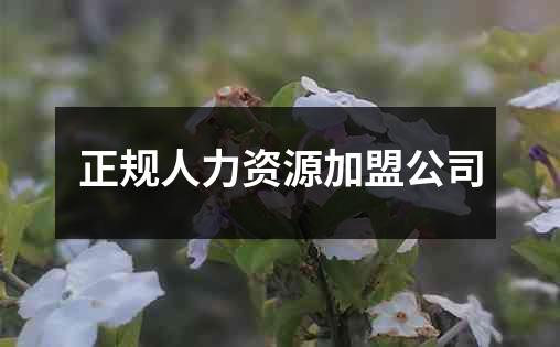 正规人力资源加盟公司