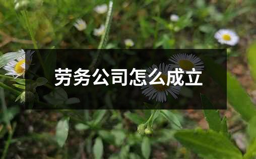 劳务公司怎么成立