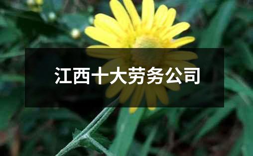 江西十大劳务公司