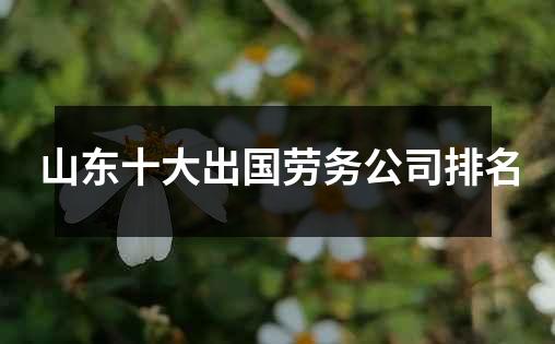 山东十大出国劳务公司排名