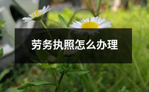 劳务执照怎么办理