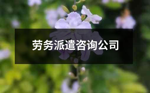 劳务派遣咨询公司