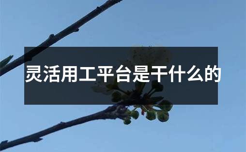 灵活用工平台是干什么的