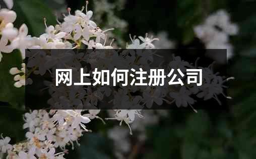 网上如何注册公司