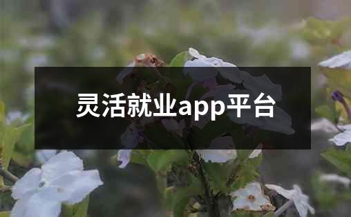 灵活就业app平台