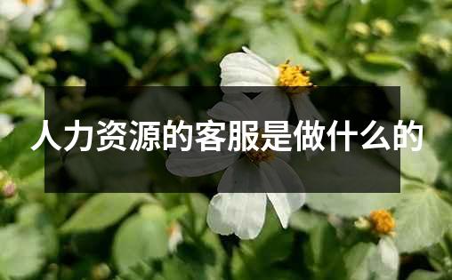 人力资源的客服是做什么的