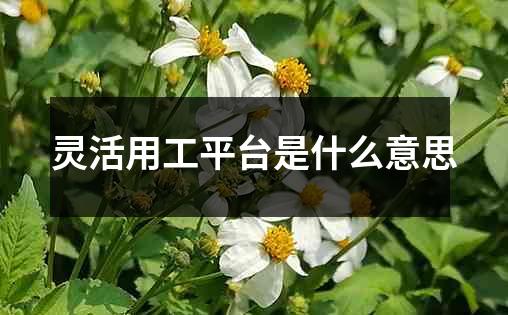 灵活用工平台是什么意思