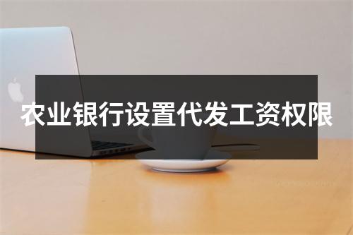 农业银行设置代发工资权限