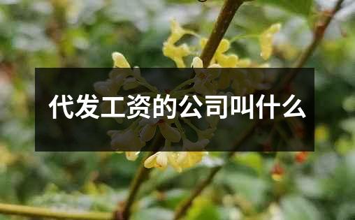 代发工资的公司叫什么