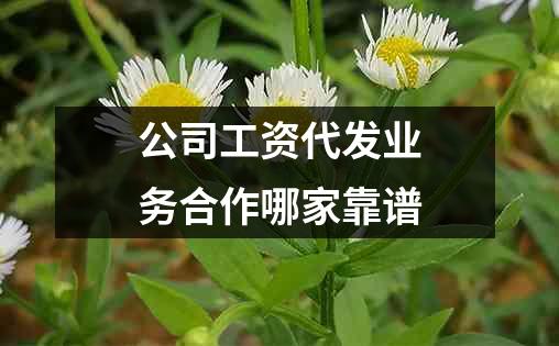 公司工资代发业务合作哪家靠谱