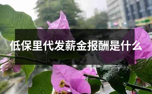 低保里代发薪金报酬是什么