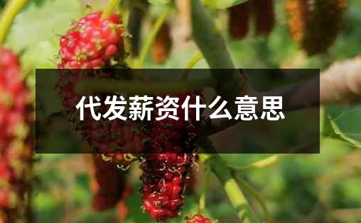 代发薪资什么意思