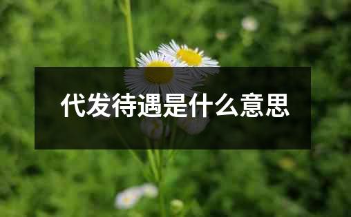 代发待遇是什么意思