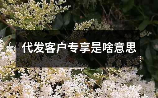 代发客户专享是啥意思