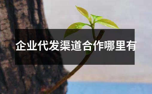 企业代发渠道合作哪里有