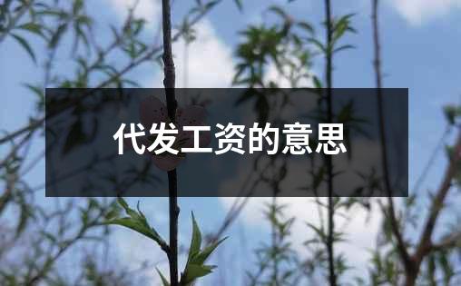 代发工资的意思