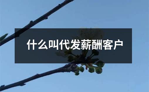 什么叫代发薪酬客户