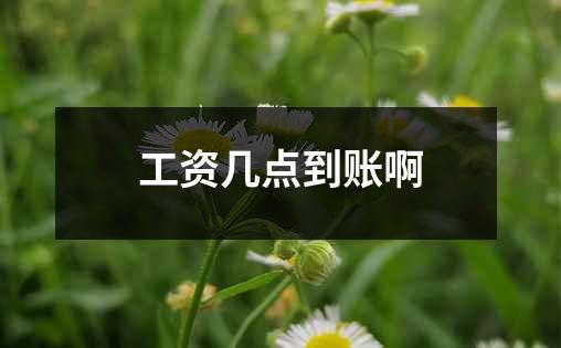 工资几点到账啊