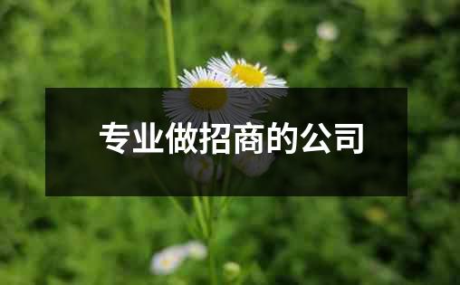 专业做招商的公司