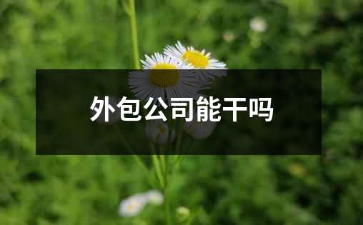 外包公司能干吗