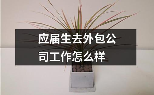 应届生去外包公司工作怎么样