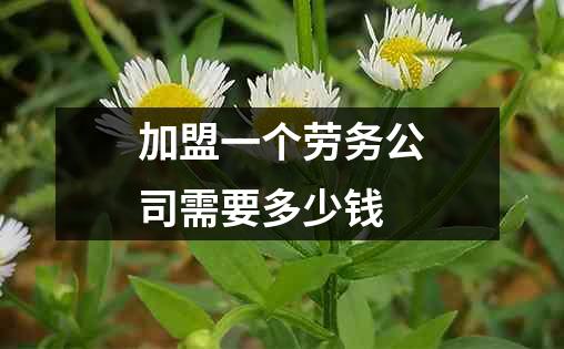 加盟一个劳务公司需要多少钱