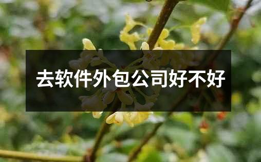 去软件外包公司好不好