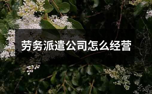 劳务派遣公司怎么经营