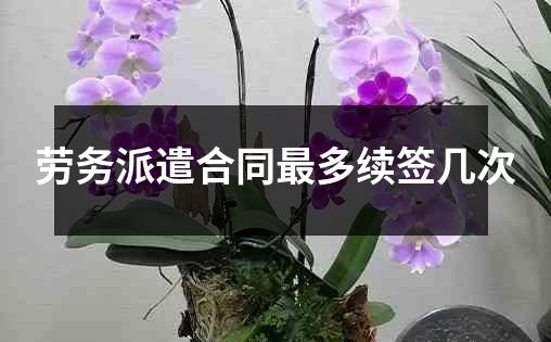 劳务派遣合同最多续签几次