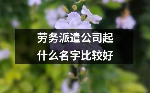 劳务派遣公司起什么名字比较好