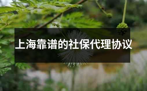 上海靠谱的社保代理协议